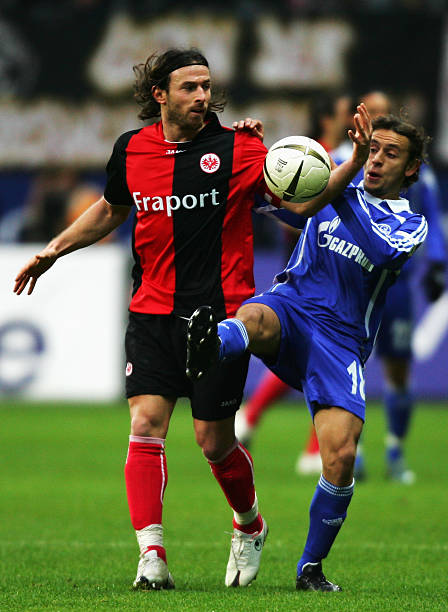 涯的新篇章 涯的新篇章